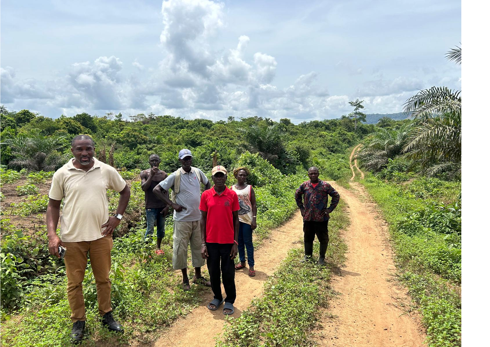 Groups of smallholders work together in farm groups