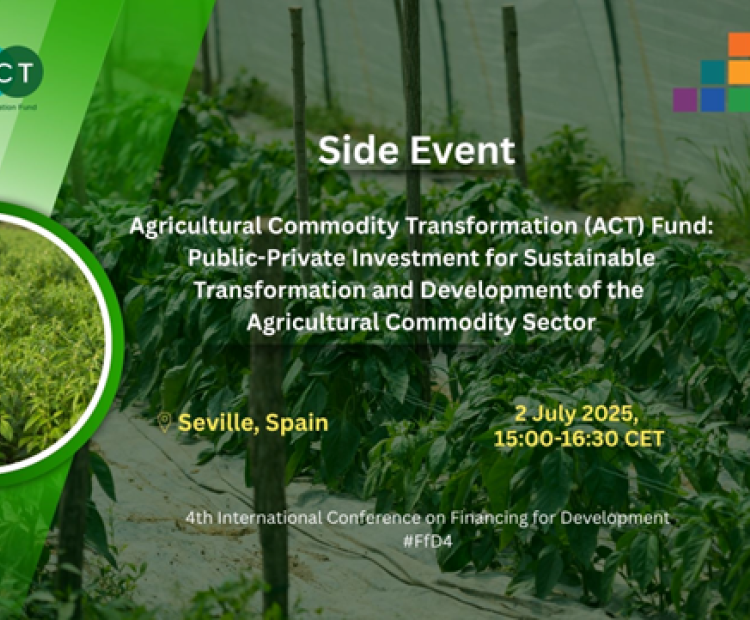 ACT-FfD4